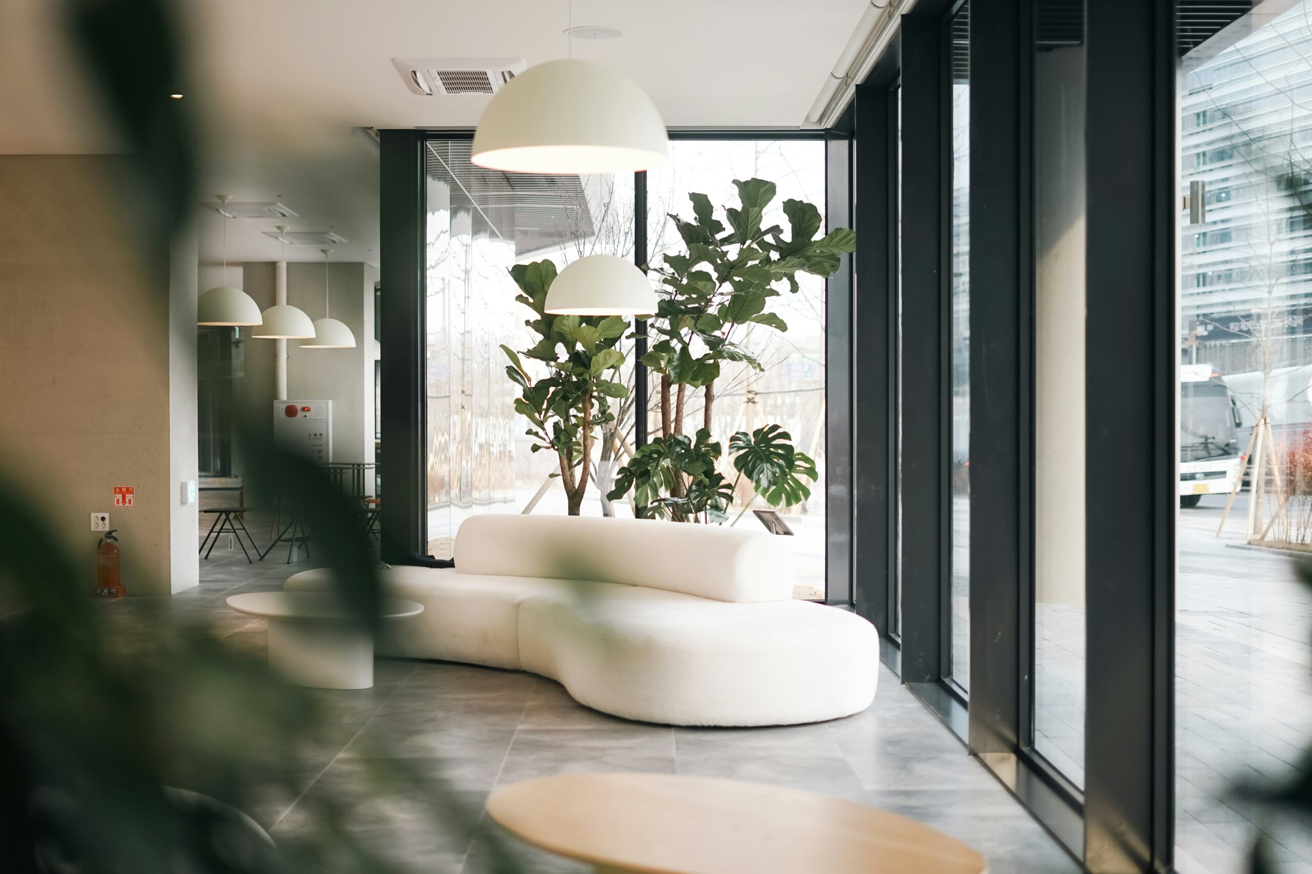 Ambiance apaisante d'un cabinet médical